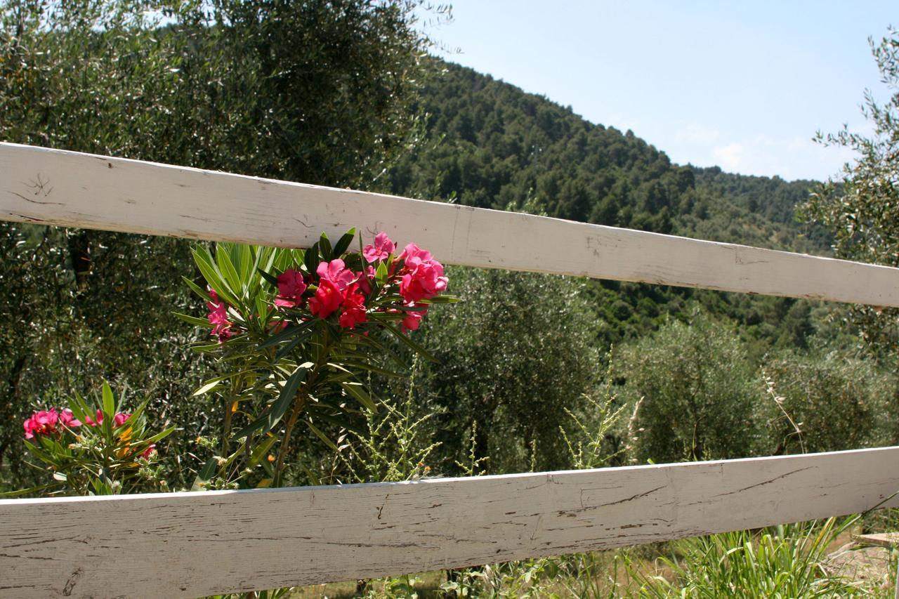 Agriturismo Affittacamere Atlhos Vieste Exterior photo